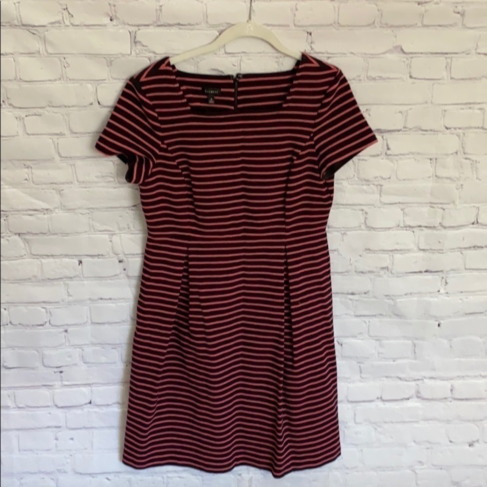 𝅺TALBOTS | Striped Pink & Black Dress | 8